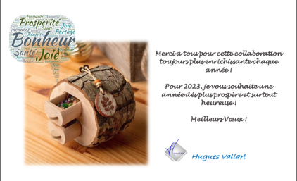 Voeux 2023